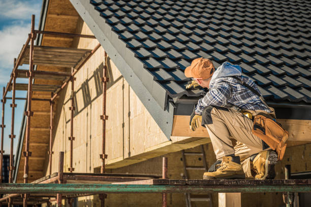Best Local Roofing Companies  in Brownsville, FL